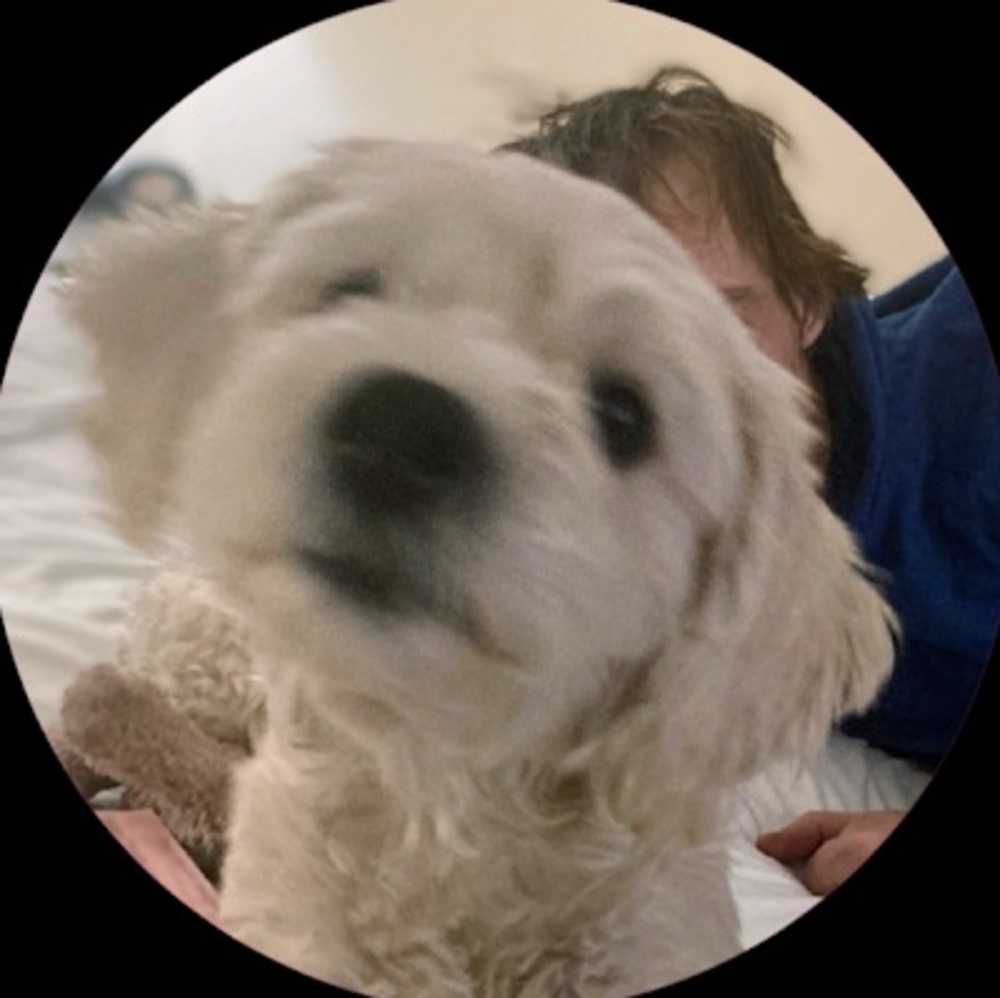 Meet your Posher, Matthew